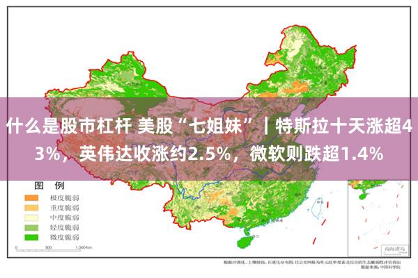 什么是股市杠杆 美股“七姐妹”｜特斯拉十天涨超43%，英伟达收涨约2.5%，微软则跌超1.4%