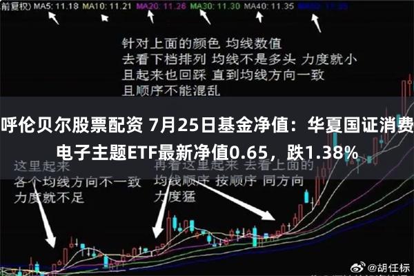 呼伦贝尔股票配资 7月25日基金净值：华夏国证消费电子主题ETF最新净值0.65，跌1.38%