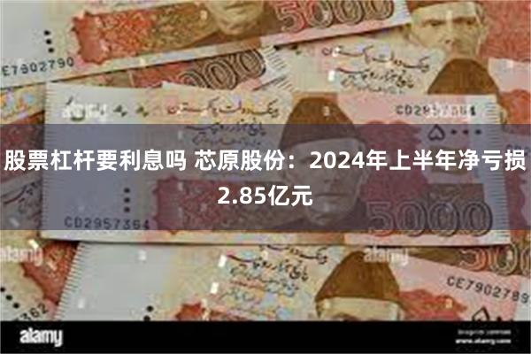 股票杠杆要利息吗 芯原股份：2024年上半年净亏损2.85亿元