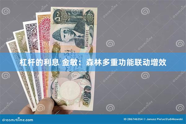 杠杆的利息 金敏：森林多重功能联动增效