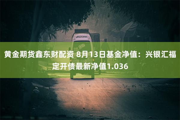 黄金期货鑫东财配资 8月13日基金净值：兴银汇福定开债最新净值1.036