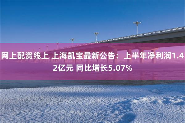 网上配资线上 上海凯宝最新公告：上半年净利润1.42亿元 同比增长5.07%