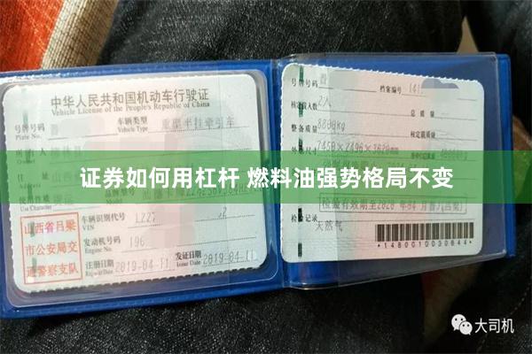 证券如何用杠杆 燃料油强势格局不变