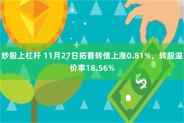 炒股上杠杆 11月27日拓普转债上涨0.81%，转股溢价率18.56%