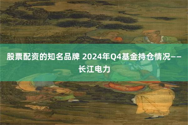 股票配资的知名品牌 2024年Q4基金持仓情况——长江电力