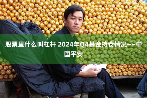 股票里什么叫杠杆 2024年Q4基金持仓情况——中国平安