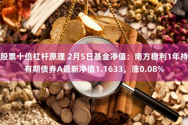 股票十倍杠杆原理 2月5日基金净值：南方稳利1年持有期债券A最新净值1.1633，涨0.08%