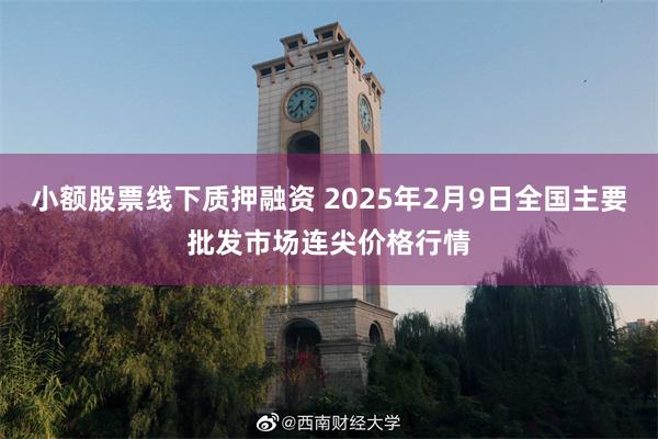 小额股票线下质押融资 2025年2月9日全国主要批发市场连尖价格行情