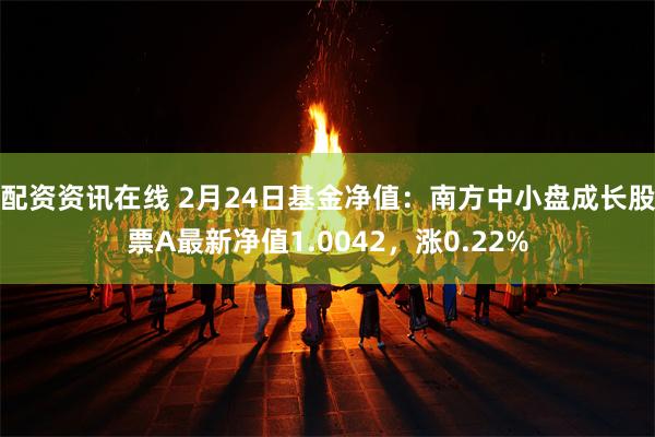 配资资讯在线 2月24日基金净值：南方中小盘成长股票A最新净值1.0042，涨0.22%